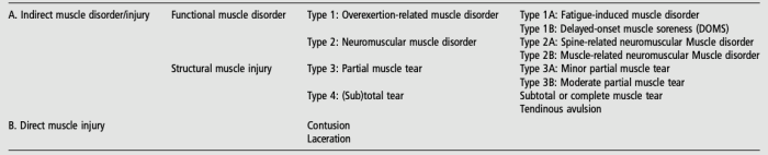 Tabel hamstrings