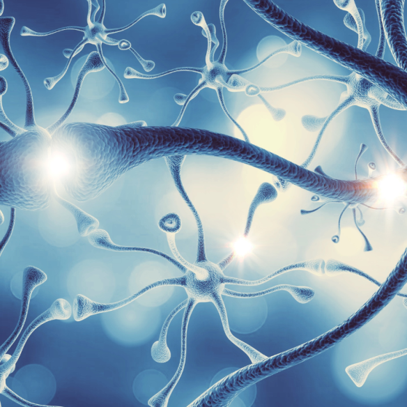 Neuroplasticiteit plusartikel.png