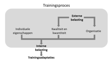 Blog Maarten