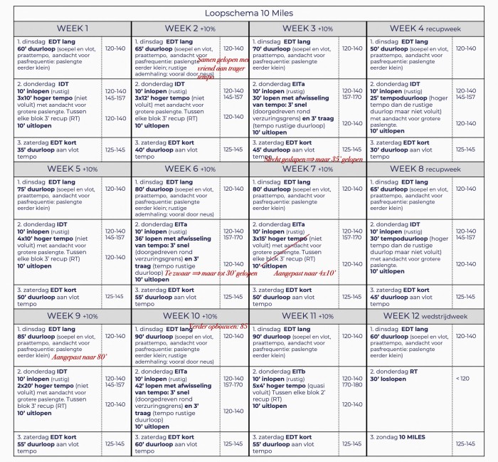 Trainingsplan 10