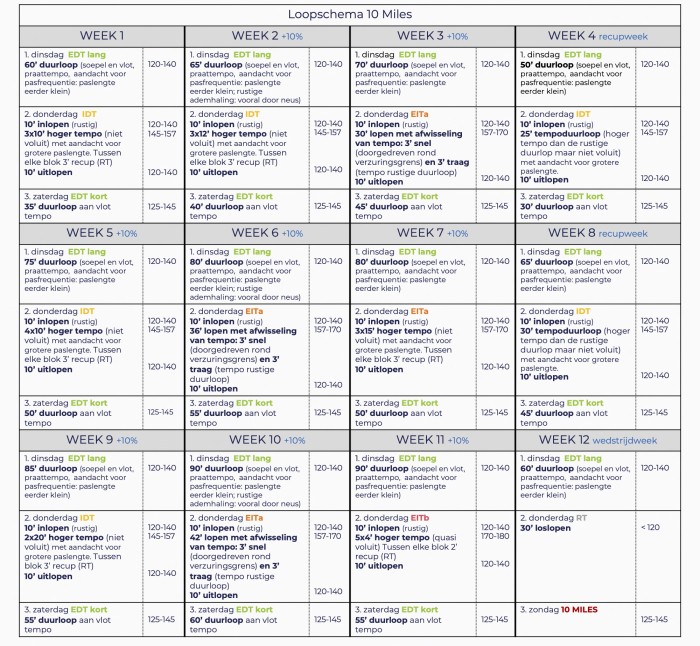 Trainingsplan 9