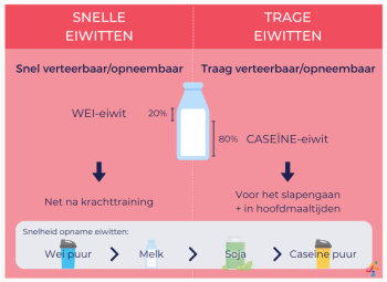 Snelle vs