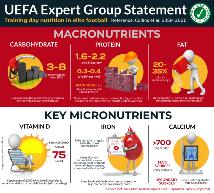UEFA Expert Group Statement