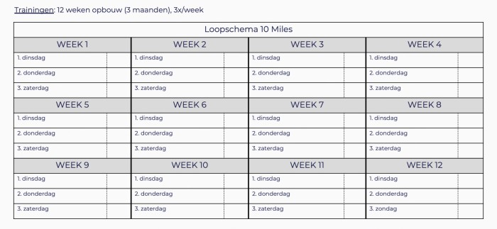 Trainingsplan 2